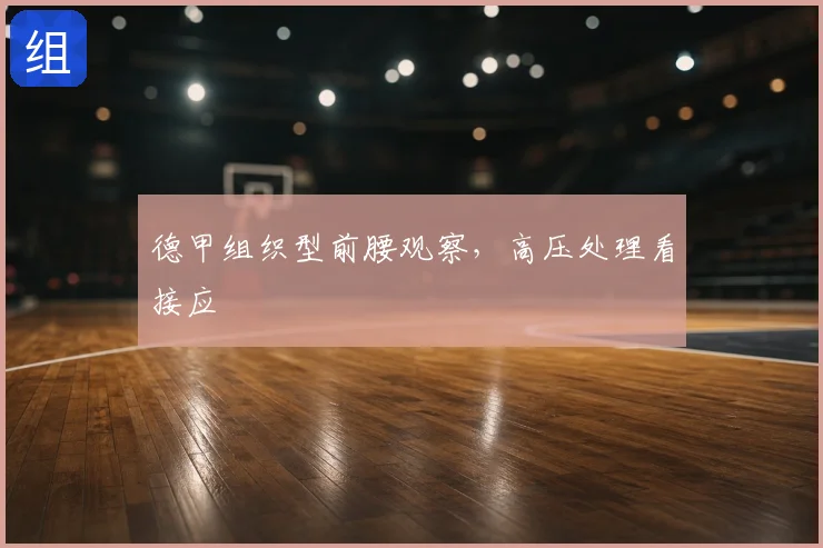 德甲组织型前腰观察，高压处理看接应